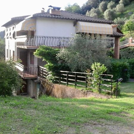 Villa Romolina 코렐리아안텔미넬리 외부 사진